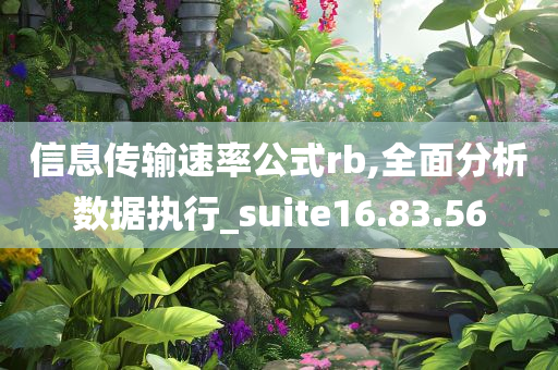 信息传输速率公式rb,全面分析数据执行_suite16.83.56