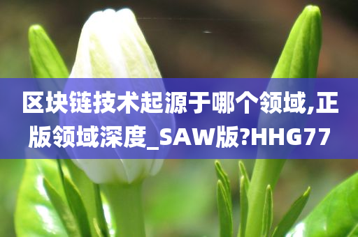 区块链技术起源于哪个领域,正版领域深度_SAW版?HHG77