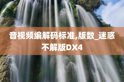 音视频编解码标准,版数_迷惑不解版DX4