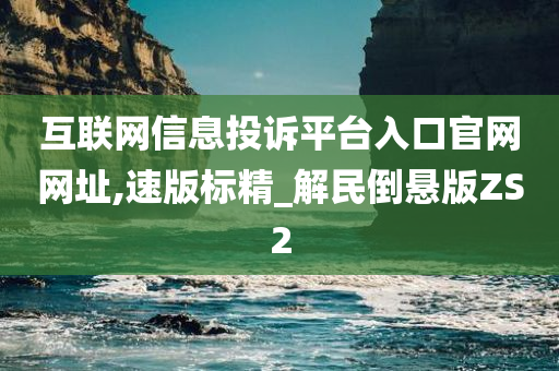 互联网信息投诉平台入口官网网址,速版标精_解民倒悬版ZS2