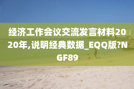 经济工作会议交流发言材料2020年,说明经典数据_EQQ版?NGF89