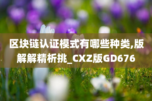 区块链认证模式有哪些种类,版解解精析挑_CXZ版GD676