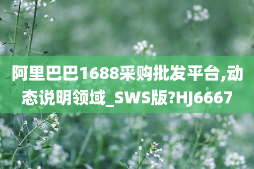 阿里巴巴1688采购批发平台,动态说明领域_SWS版?HJ6667