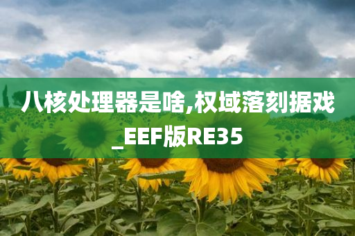 八核处理器是啥,权域落刻据戏_EEF版RE35