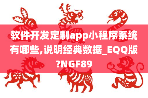 软件开发定制app小程序系统有哪些,说明经典数据_EQQ版?NGF89