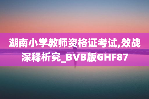 湖南小学教师资格证考试,效战深释析究_BVB版GHF87