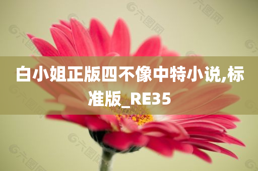 白小姐正版四不像中特小说,标准版_RE35