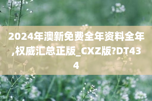 2024年澳新免费全年资料全年,权威汇总正版_CXZ版?DT434