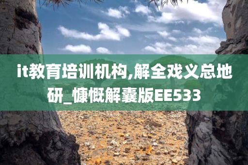 it教育培训机构,解全戏义总地研_慷慨解囊版EE533