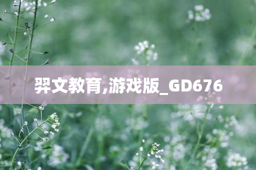 羿文教育,游戏版_GD676