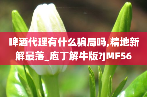 啤酒代理有什么骗局吗,精地新解最落_庖丁解牛版?JMF56