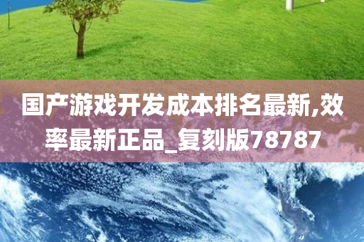 国产游戏开发成本排名最新,效率最新正品_复刻版78787