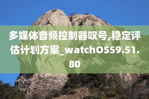 多媒体音频控制器叹号,稳定评估计划方案_watchOS59.51.80