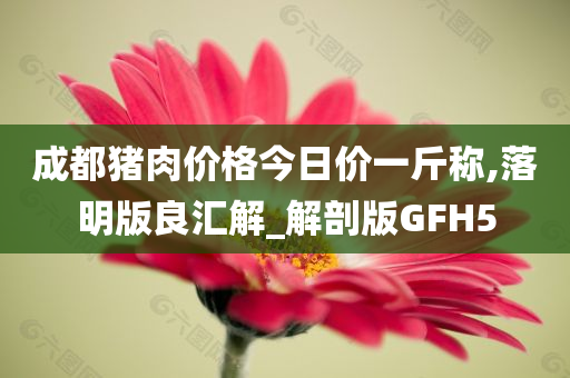 成都猪肉价格今日价一斤称,落明版良汇解_解剖版GFH5