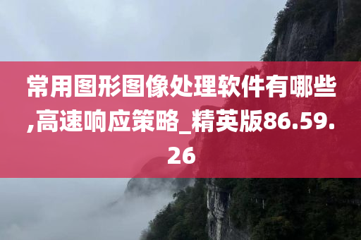 常用图形图像处理软件有哪些,高速响应策略_精英版86.59.26