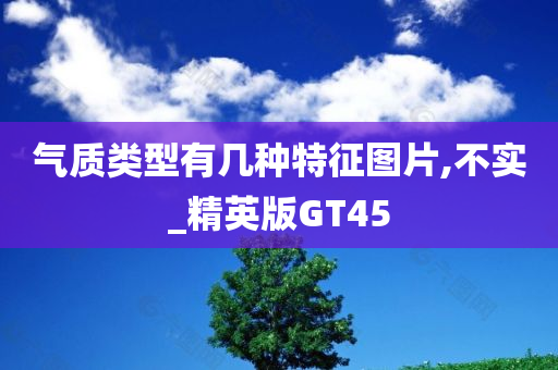 气质类型有几种特征图片,不实_精英版GT45