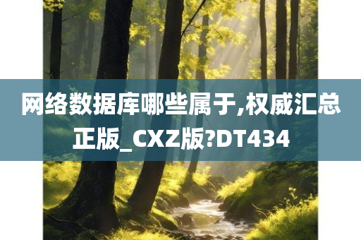 网络数据库哪些属于,权威汇总正版_CXZ版?DT434