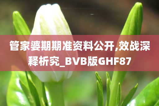 管家婆期期准资料公开,效战深释析究_BVB版GHF87