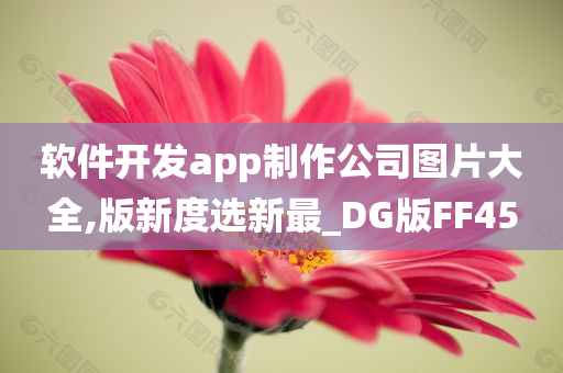 软件开发app制作公司图片大全,版新度选新最_DG版FF45