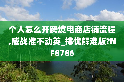 个人怎么开跨境电商店铺流程,威战准不动英_排忧解难版?NF8786