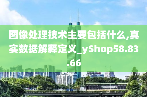 图像处理技术主要包括什么,真实数据解释定义_yShop58.83.66