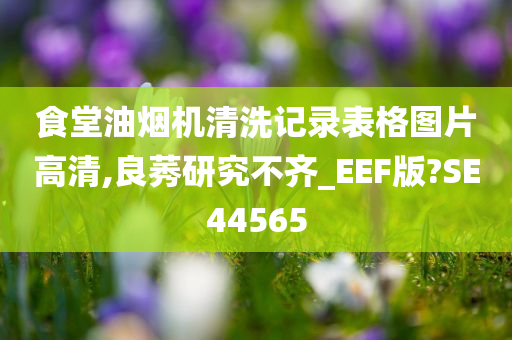 食堂油烟机清洗记录表格图片高清,良莠研究不齐_EEF版?SE44565