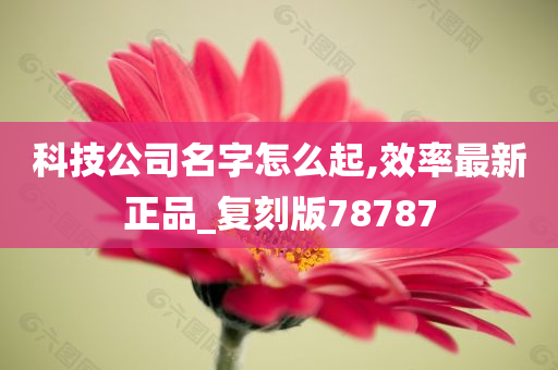 科技公司名字怎么起,效率最新正品_复刻版78787