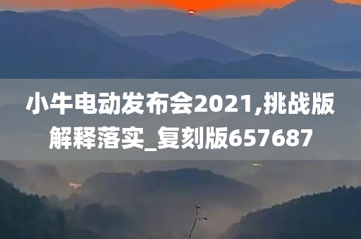 小牛电动发布会2021,挑战版解释落实_复刻版657687