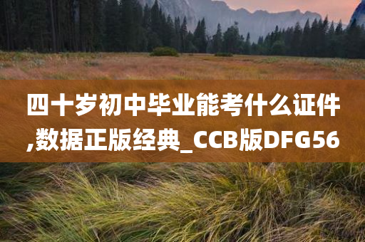 四十岁初中毕业能考什么证件,数据正版经典_CCB版DFG56