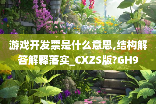 游戏开发票是什么意思,结构解答解释落实_CXZS版?GH9