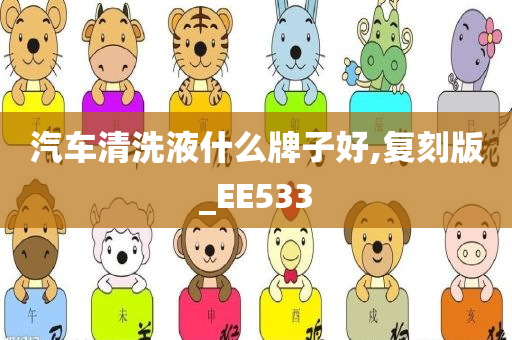 汽车清洗液什么牌子好,复刻版_EE533