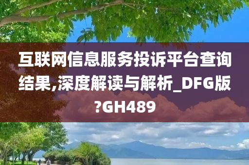 互联网信息服务投诉平台查询结果,深度解读与解析_DFG版?GH489