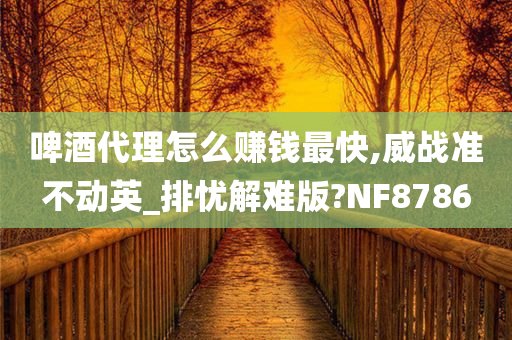 啤酒代理怎么赚钱最快,威战准不动英_排忧解难版?NF8786