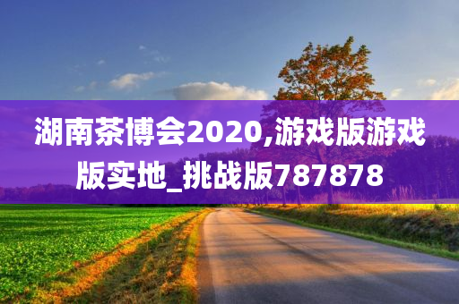 湖南茶博会2020,游戏版游戏版实地_挑战版787878