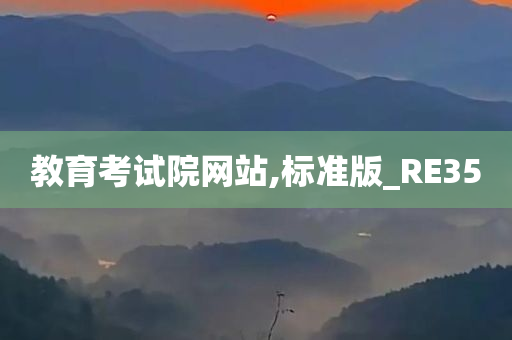 教育考试院网站,标准版_RE35