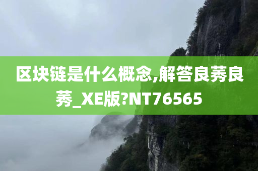 区块链是什么概念,解答良莠良莠_XE版?NT76565