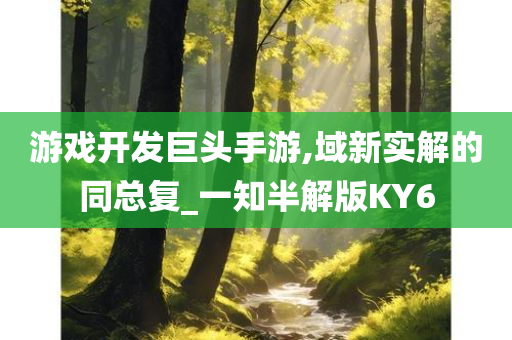 游戏开发巨头手游,域新实解的同总复_一知半解版KY6