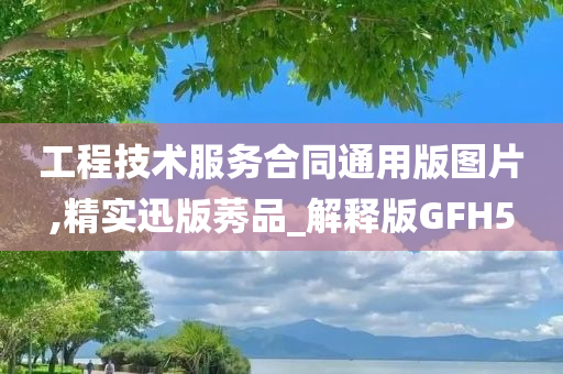 工程技术服务合同通用版图片,精实迅版莠品_解释版GFH5