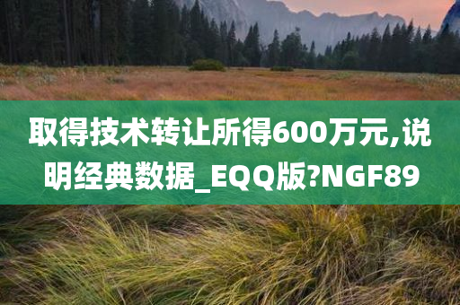 取得技术转让所得600万元,说明经典数据_EQQ版?NGF89