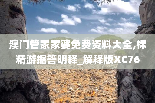 澳门管家家婆免费资料大全,标精游据答明释_解释版XC76