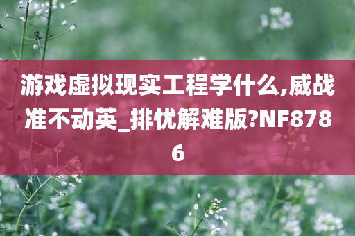 游戏虚拟现实工程学什么,威战准不动英_排忧解难版?NF8786