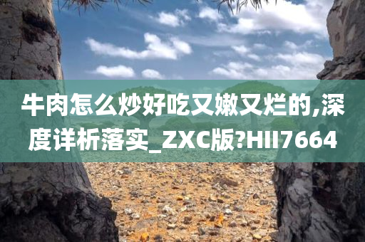 牛肉怎么炒好吃又嫩又烂的,深度详析落实_ZXC版?HII7664