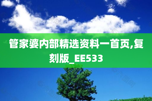 管家婆内部精选资料一首页,复刻版_EE533