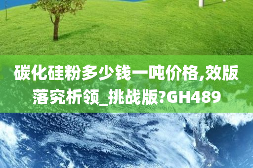 碳化硅粉多少钱一吨价格,效版落究析领_挑战版?GH489