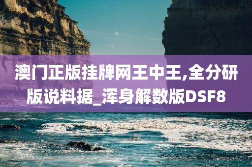 澳门正版挂牌网王中王,全分研版说料据_浑身解数版DSF8