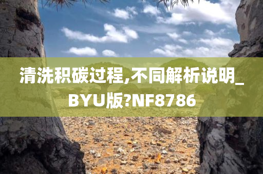 清洗积碳过程,不同解析说明_BYU版?NF8786