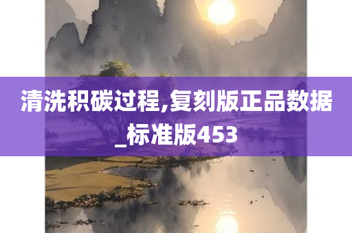 清洗积碳过程,复刻版正品数据_标准版453