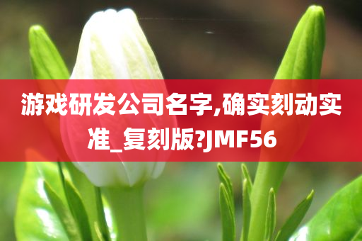 游戏研发公司名字,确实刻动实准_复刻版?JMF56