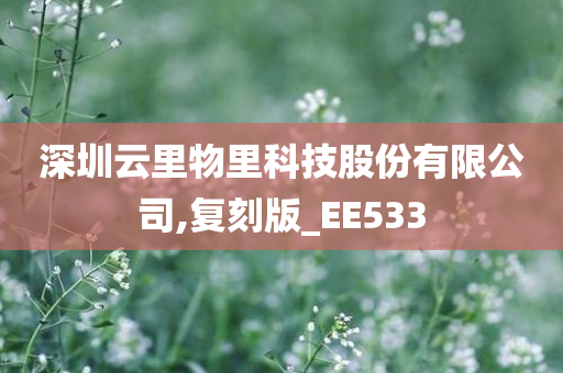 深圳云里物里科技股份有限公司,复刻版_EE533