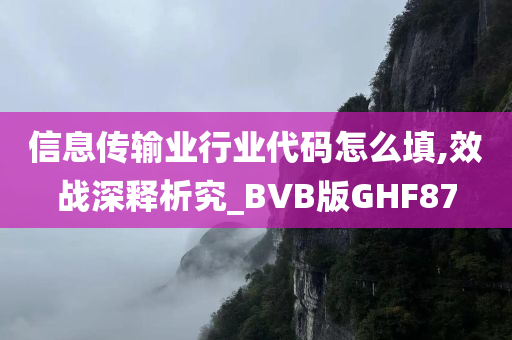 信息传输业行业代码怎么填,效战深释析究_BVB版GHF87